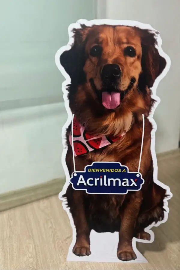 Impresión sobre celtex